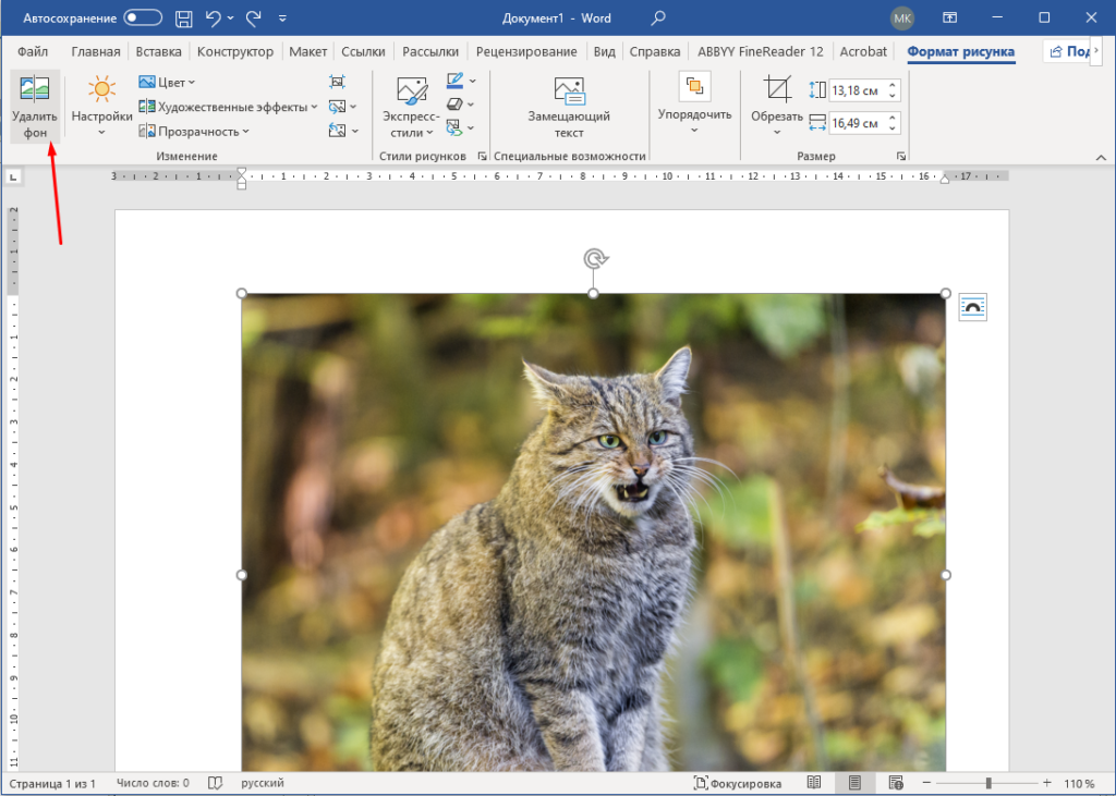 Как удалить фон с картинки с помощью Microsoft Office