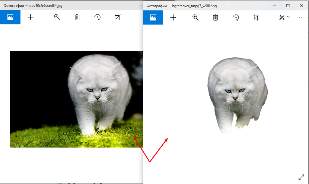 Как удалить фон с изображения парой кликов мышкой
