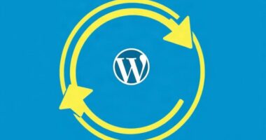 wp-admin попал в бесконечный цикл перенаправлений: как вернуть вход в WordPress