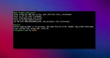 DNS_PROBE_FINISHED_NXDOMAIN после смены DNS или NS-серверов домена: почему сайт внезапно пропадает и что с этим делать