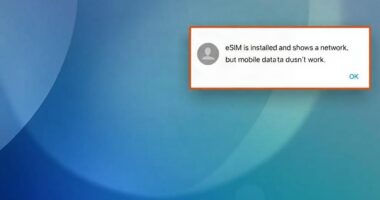 eSIM установлена и показывает сеть, но мобильный интернет не работает: где искать сбой и что проверять первым