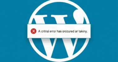 WordPress пишет «На сайте возникла критическая ошибка» после обновления плагина: как найти причину и вернуть сайт к жизни