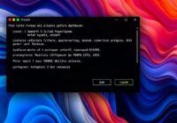 1С перестала запускать базу после обновления платформы: где искать причину и как вернуть запуск